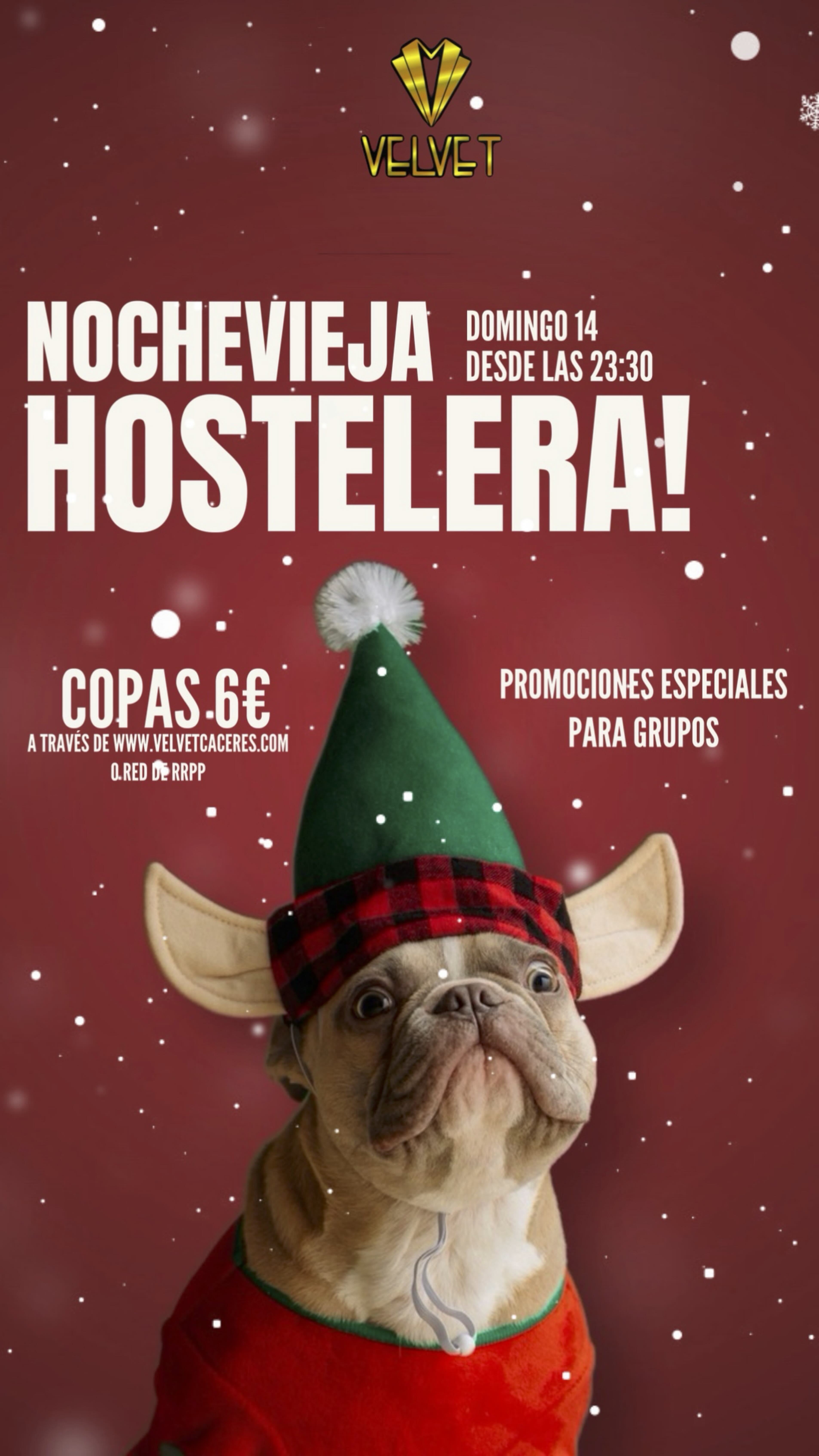 velvet-nochevieja-hostelera-domingo-14-diciembre